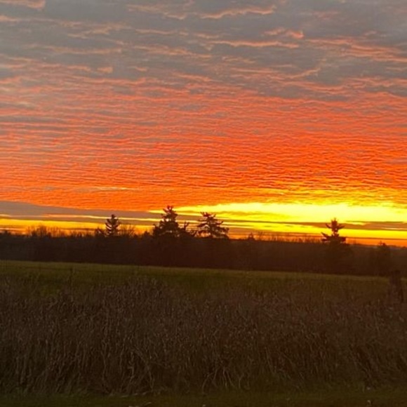 Meet your Posher, Alison - Picture 1 of 1